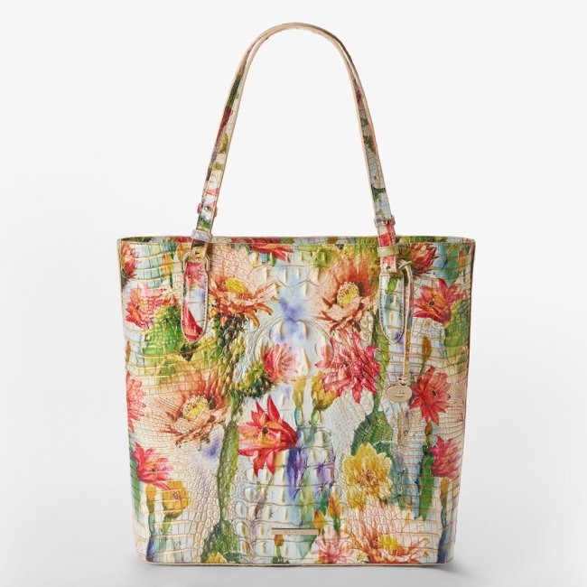Brahmin Ezra - Succulent Bloom Melbourne