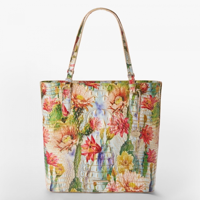 Brahmin Ezra - Succulent Bloom Melbourne