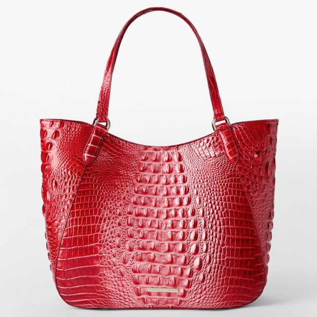 Brahmin Aliza Leather Tote - Embrace Ombre Melbourne