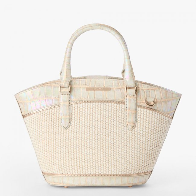 Brahmin Jenny - Tiramisu Manava