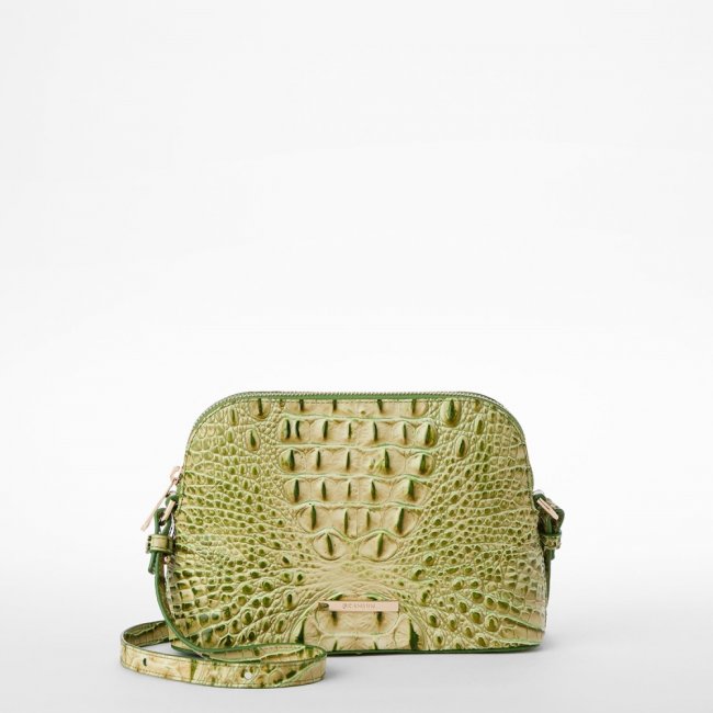 Brahmin Amal - Fern Melbourne