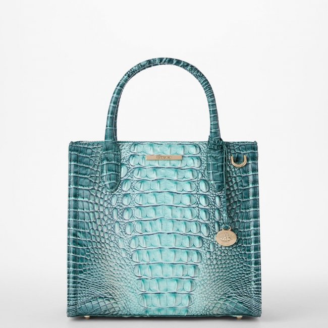 Brahmin Small Caroline Leather Satchel - Spearmint Ombre Melbourne