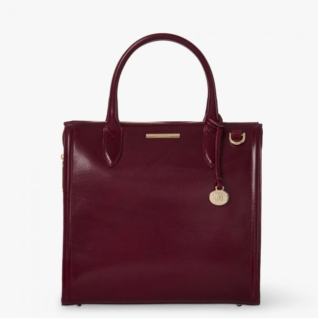 Brahmin Caroline Leather Satchel - Tart Topsail