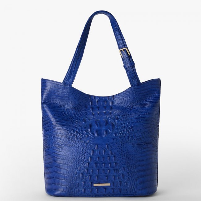 Brahmin Brayden - Blue Alden Road