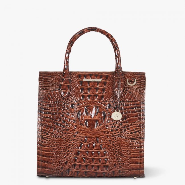 Brahmin Caroline Leather Satchel - Pecan Melbourne