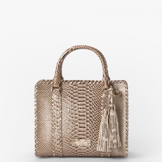 Brahmin Cami Leather Satchel - Timeless Taupe Gisela