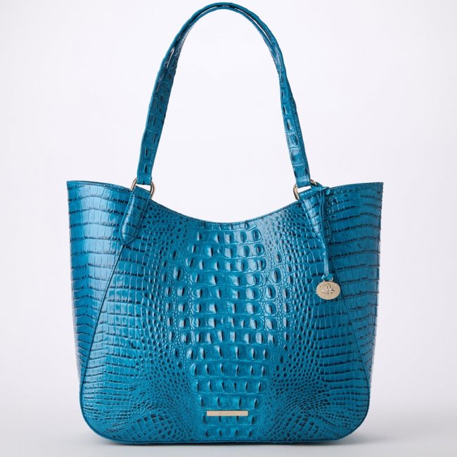 Brahmin Aliza Leather Tote - Vibrant Azure