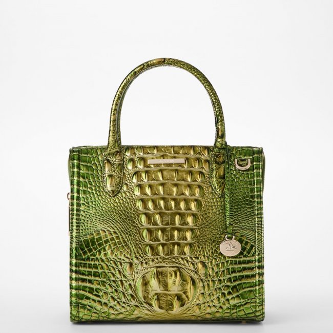 Brahmin Small Caroline - Cacti Green Melbourne