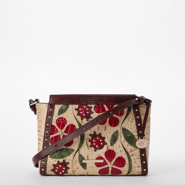 Brahmin Hillary - Sandstorm Ladybird