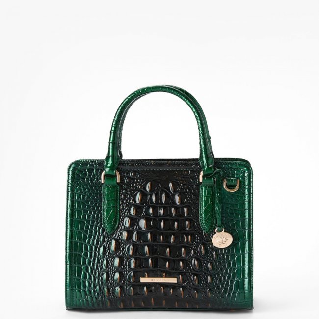 Brahmin Cami Leather Satchel - Evergreen Ombre