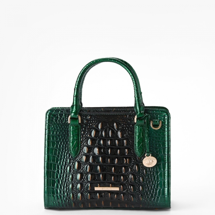 Brahmin Cami Leather Satchel - Evergreen Ombre