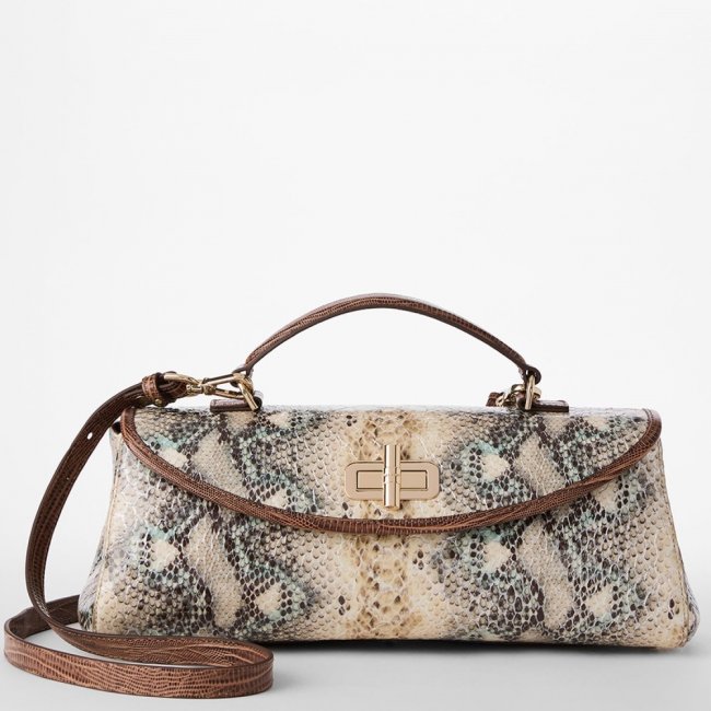 Brahmin Dayan Leather Satchel - Multi Eirwen