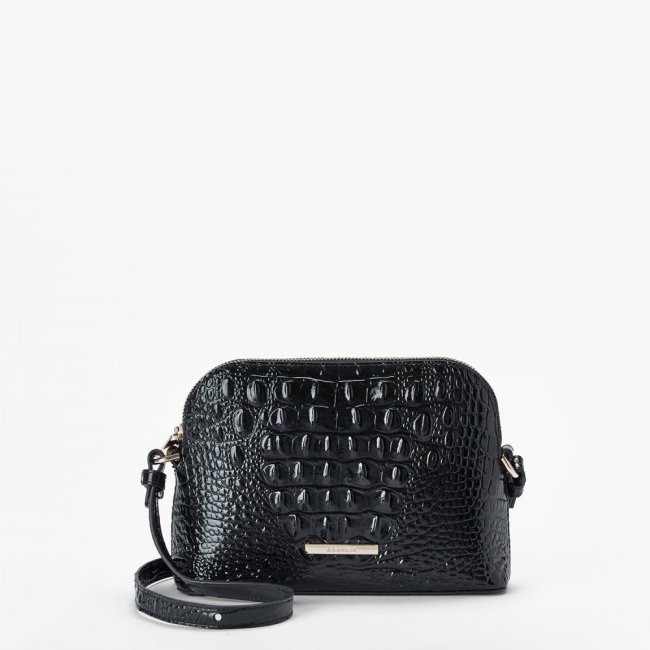 Brahmin Amal - Black Melbourne