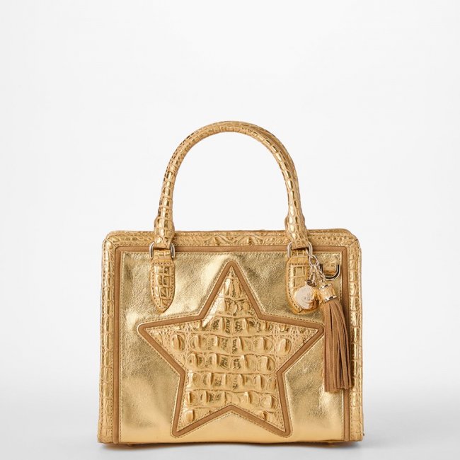 Brahmin Cami Leather Satchel - Gold Peyson