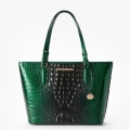 Brahmin Medium Asher Leather Tote - Evergreen Ombre