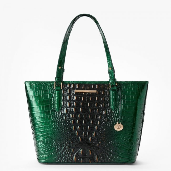 Brahmin Medium Asher Leather Tote - Evergreen Ombre