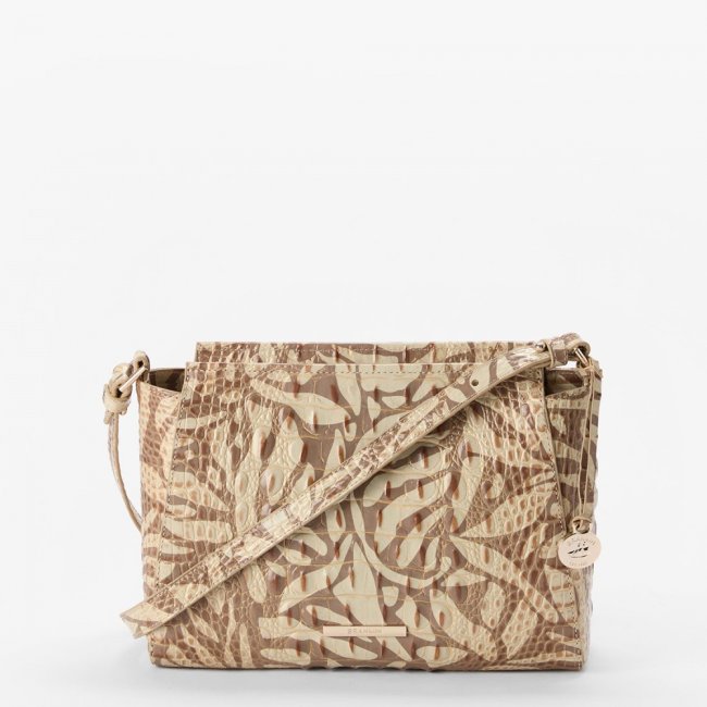 Brahmin Hillary - Stepping Stone Melbourne