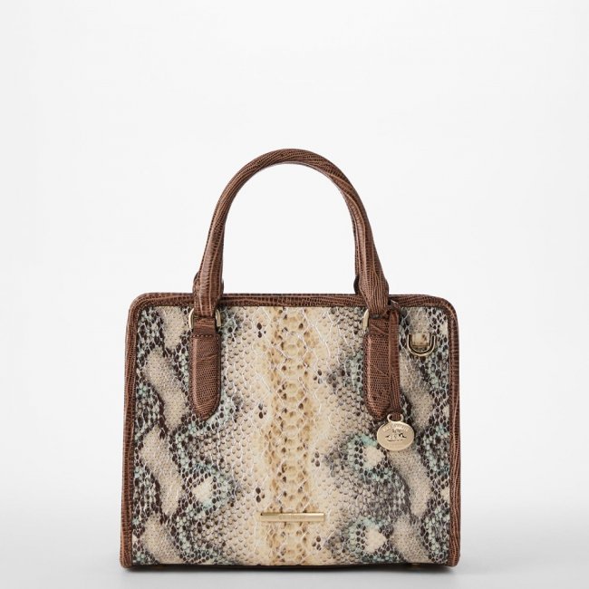 Brahmin Cami Leather Satchel - Multi Eirwen