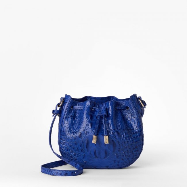 Brahmin Eliana - Blue Alden Road