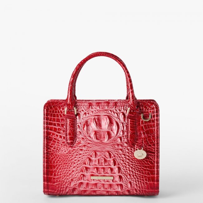 Brahmin Cami Leather Satchel - Embrace Ombre Melbourne