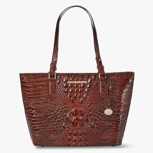 Brahmin Medium Asher Leather Tote - Pecan