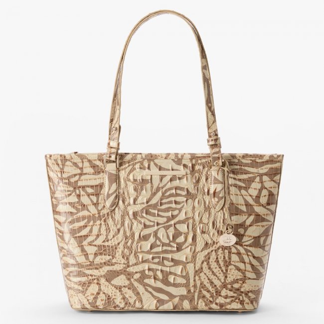 Brahmin Medium Asher - Stepping Stone Melbourne