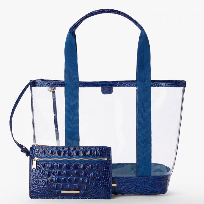 Brahmin Brooke Transparent Tote - Affinity Seagate