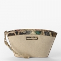 Brahmin Ariana - Multi Flashback