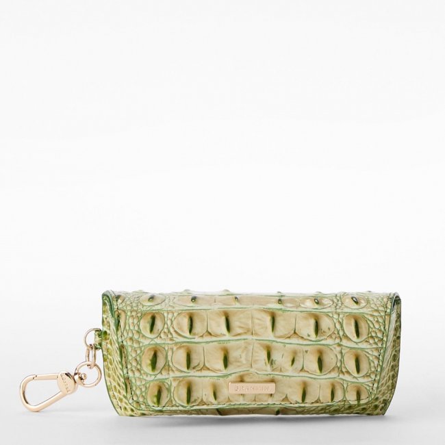 Brahmin Elora - Fern Melbourne