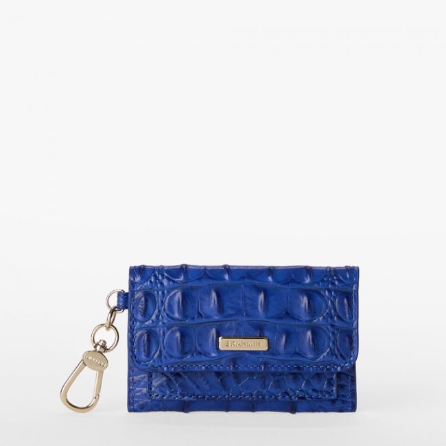 Brahmin Ricki - Blue Alden Road