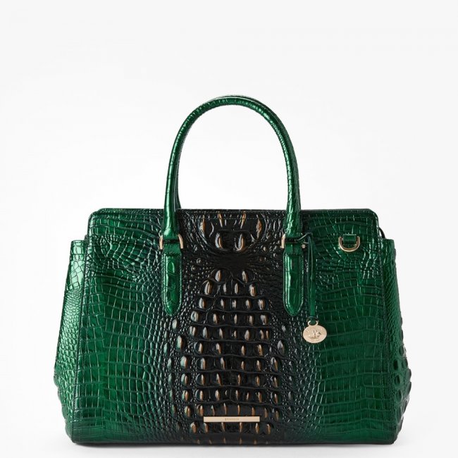 Brahmin Finley Carryall Leather Satchel - Evergreen Ombre