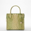 Brahmin Small Caroline - Fern Melbourne