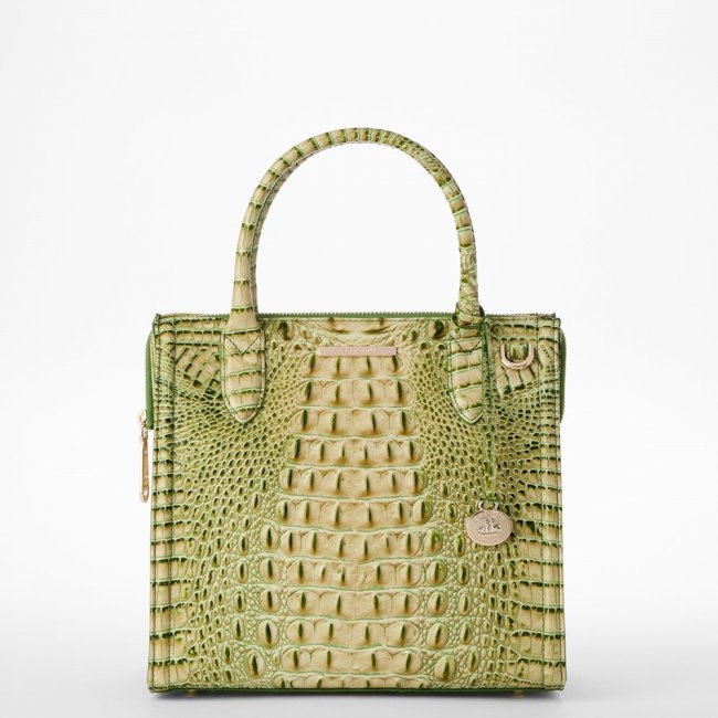 Brahmin Small Caroline - Fern Melbourne
