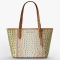 Brahmin Medium Asher - Fern Williamette
