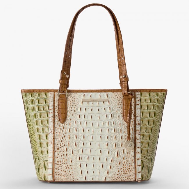 Brahmin Medium Asher - Fern Williamette