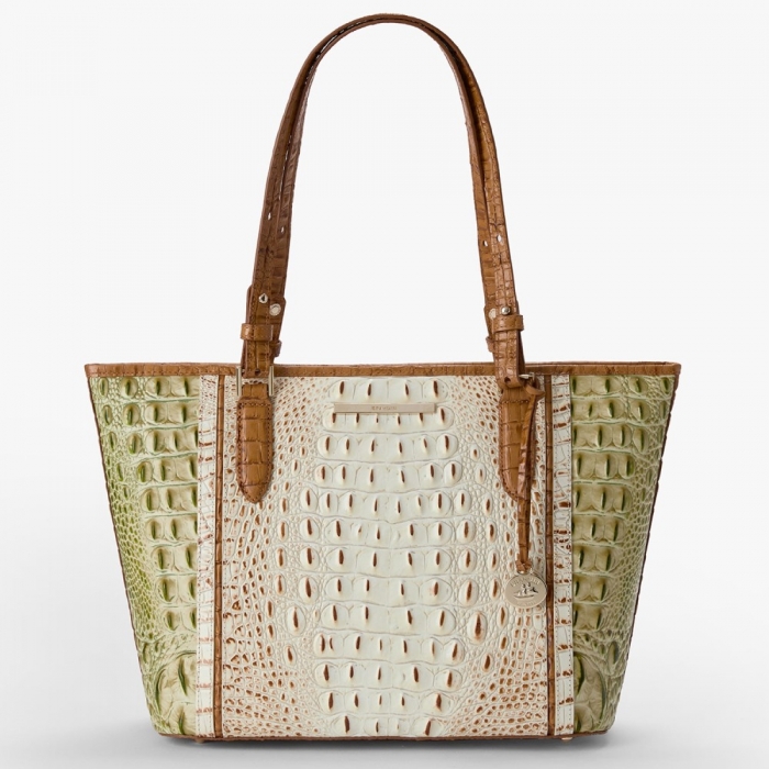 Brahmin Medium Asher - Fern Williamette