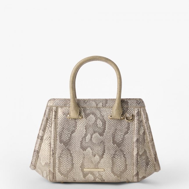 Brahmin Small Arden Leather Satchel - Gold Blissful