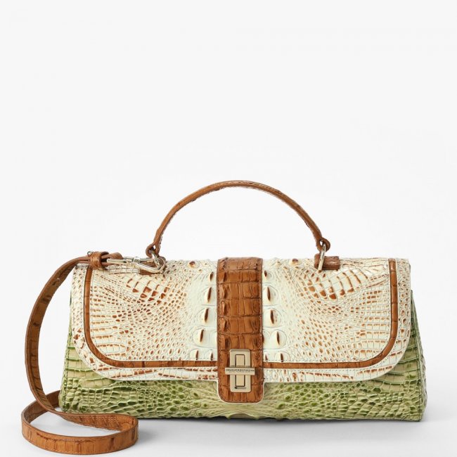 Brahmin Dayan Leather Satchel - Fern Williamette