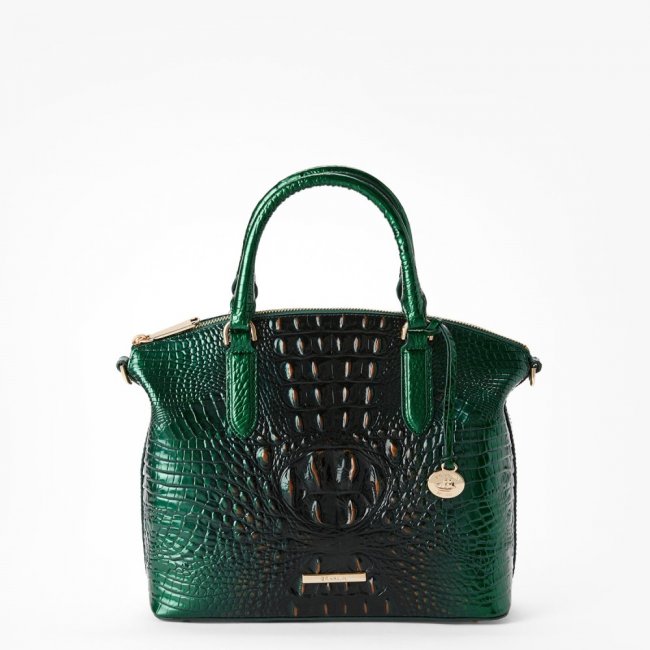 Brahmin Duxbury Leather Satchel - Evergreen Ombre