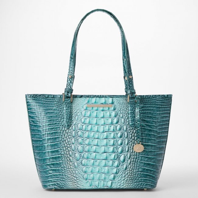 Brahmin Medium Asher Leather Tote - Spearmint Ombre Melbourne