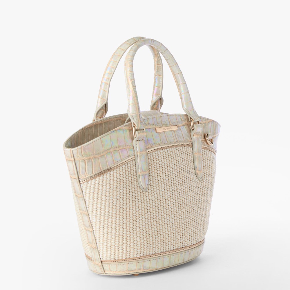 Brahmin Jenny - Tiramisu Manava