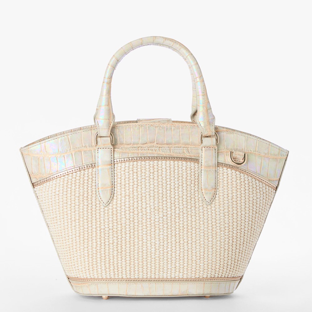 Brahmin Jenny - Tiramisu Manava