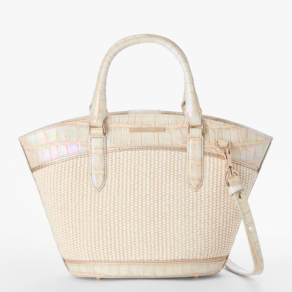 Brahmin Jenny - Tiramisu Manava