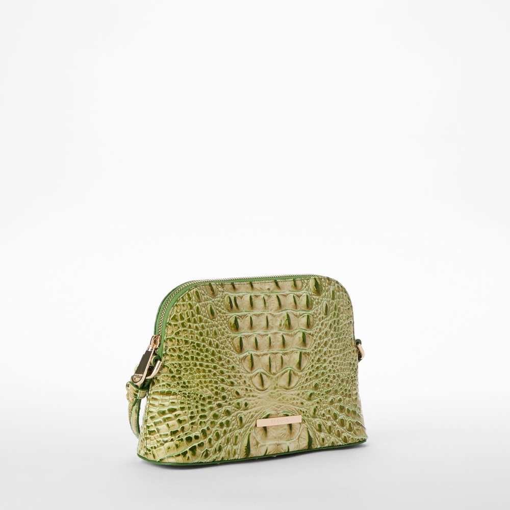 Brahmin Amal - Fern Melbourne