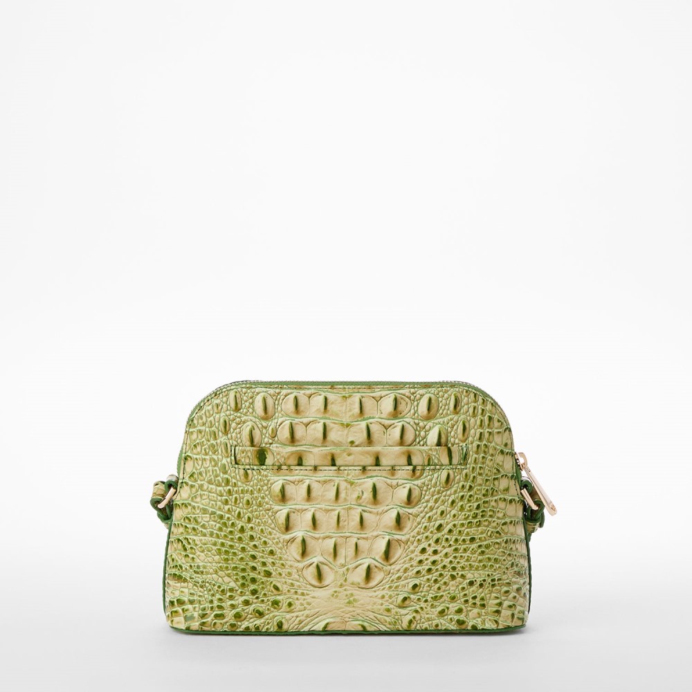 Brahmin Amal - Fern Melbourne