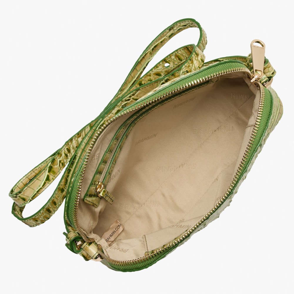 Brahmin Amal - Fern Melbourne