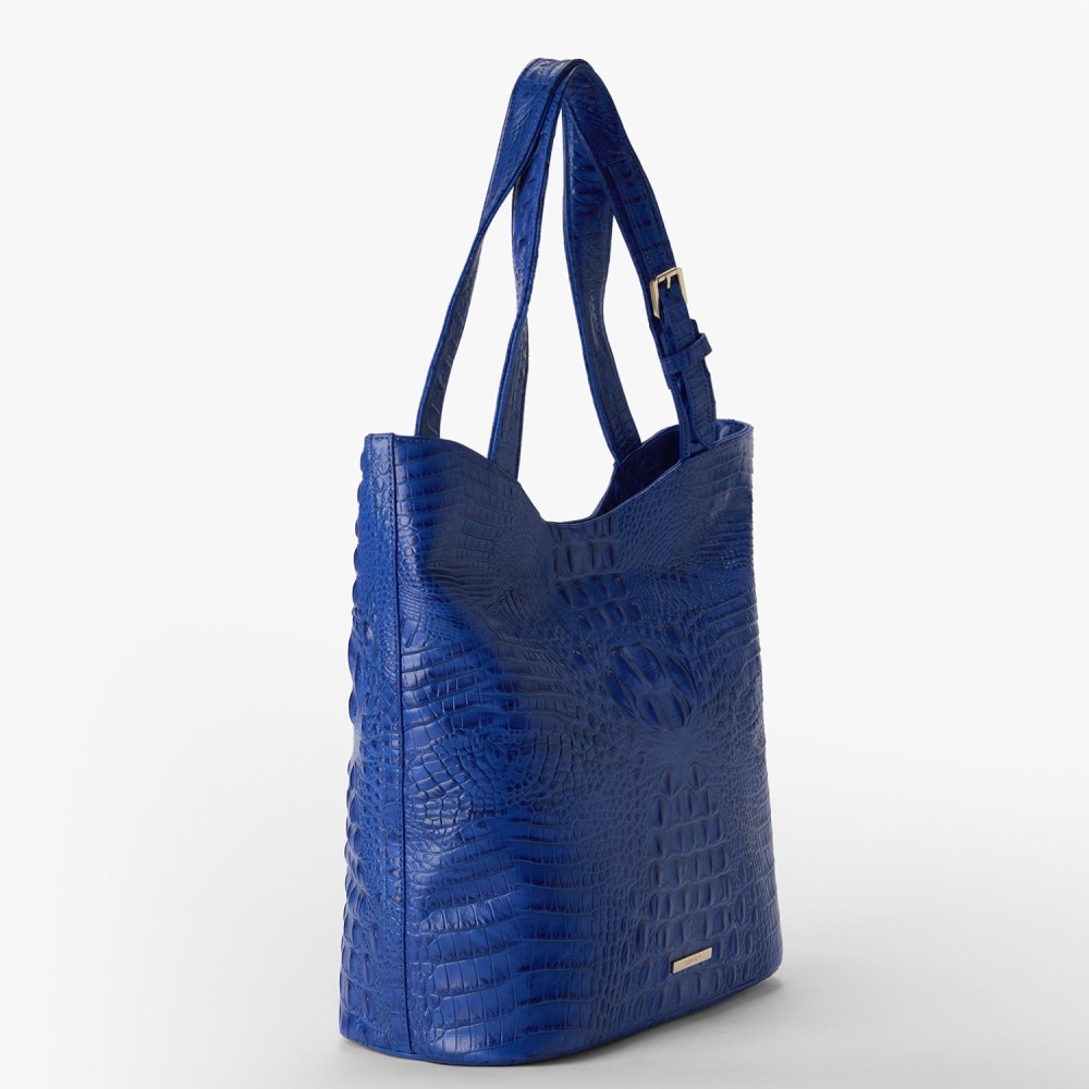 Brahmin Brayden - Blue Alden Road