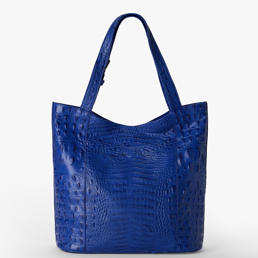 Brahmin Brayden - Blue Alden Road