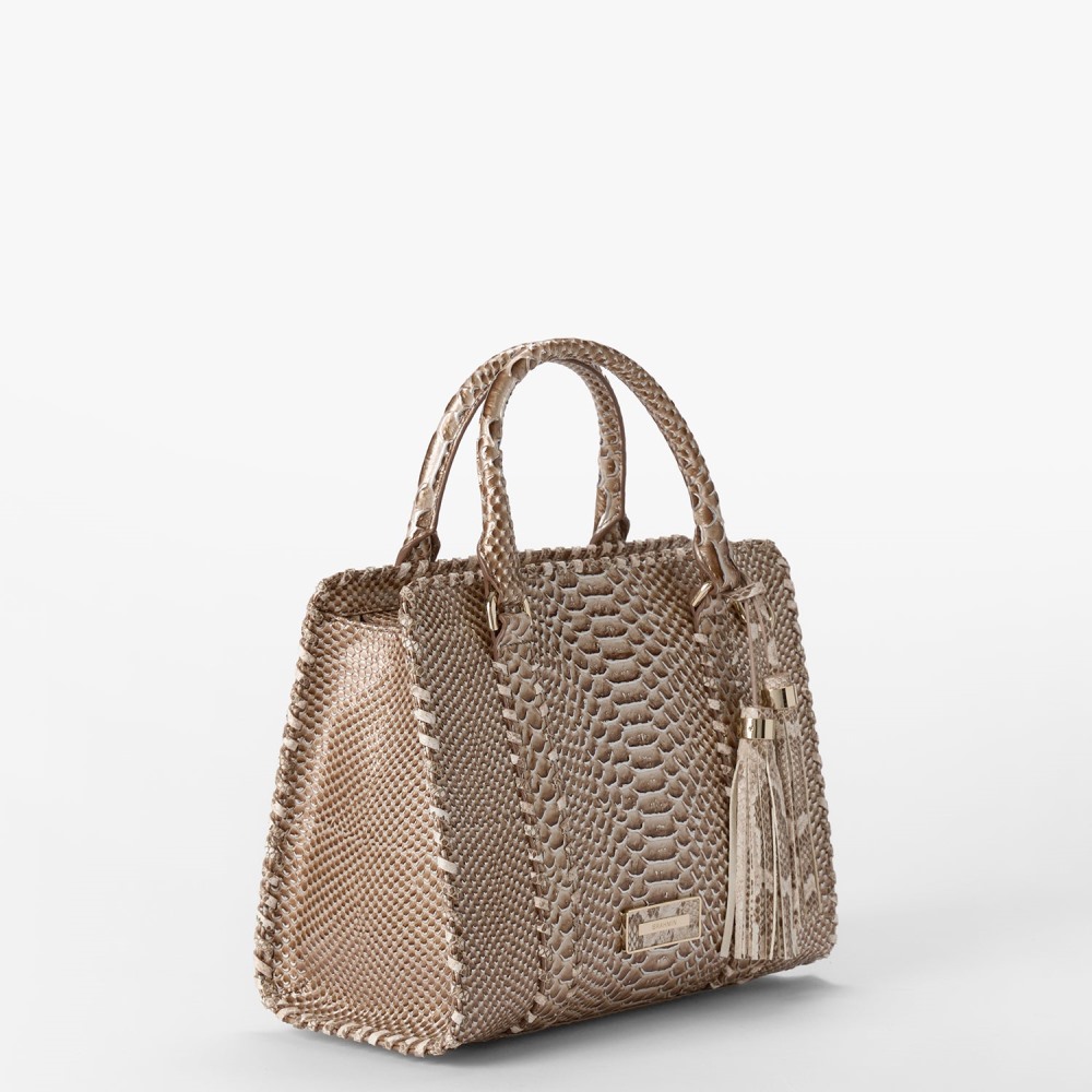 Brahmin Cami Leather Satchel - Timeless Taupe Gisela