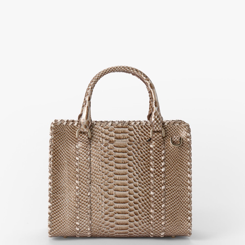 Brahmin Cami Leather Satchel - Timeless Taupe Gisela